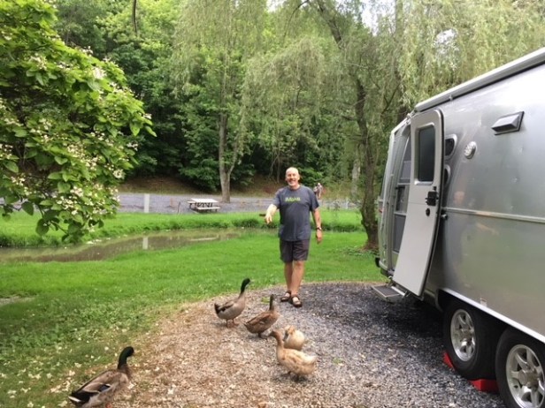 Duck posse and Dan at Walnut Hills