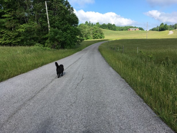 Krissy guiding us down the road