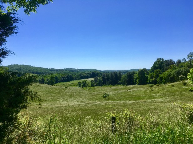 View3 from road into Highlands Haven
