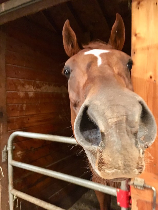 18864D1E-E355-4615-8090-41003DC409D7