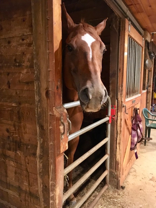 E6ECDE28-A83A-461D-9E1C-8ED2C47A6233